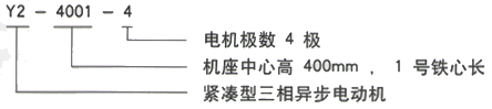 YR系列(H355-1000)高压长沙三相异步电机西安西玛电机型号说明